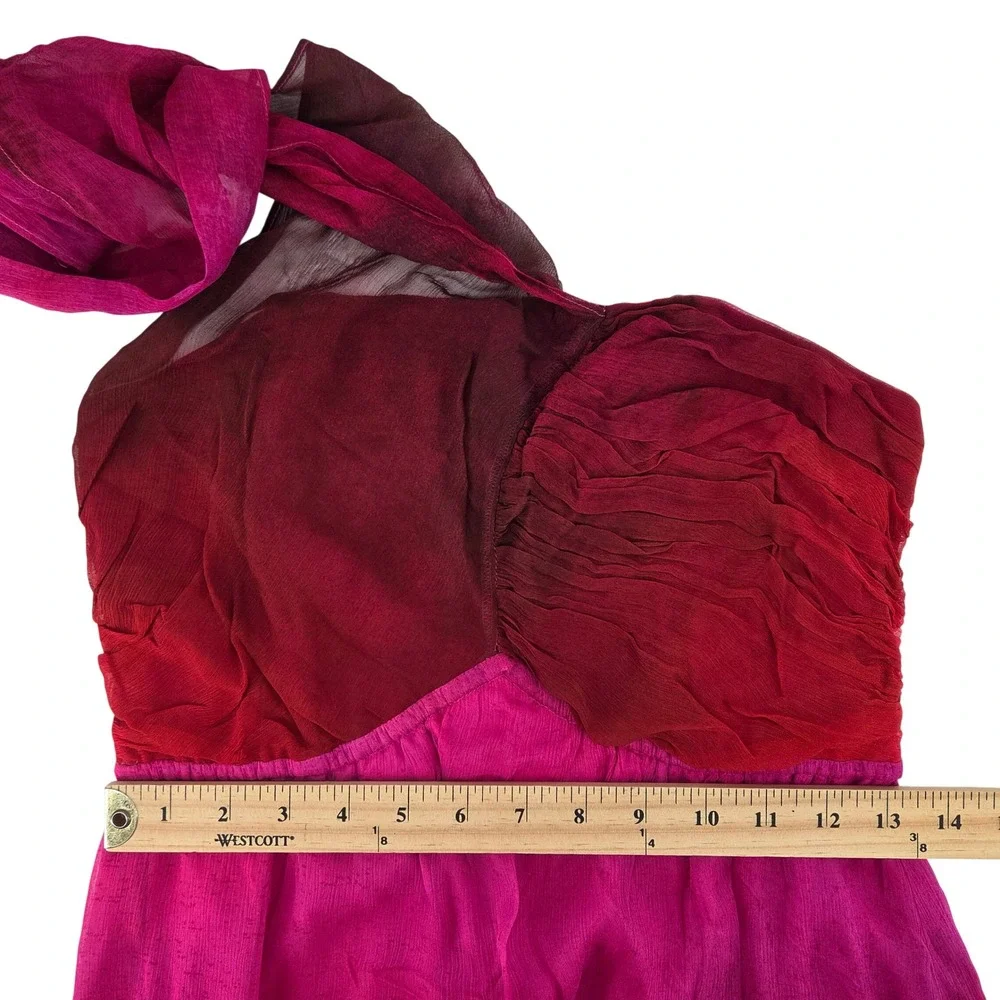 Plenty by Tracy Reese Bare Scarf Halter Maxi S‎ Pink Rose Ombre Dress Formal